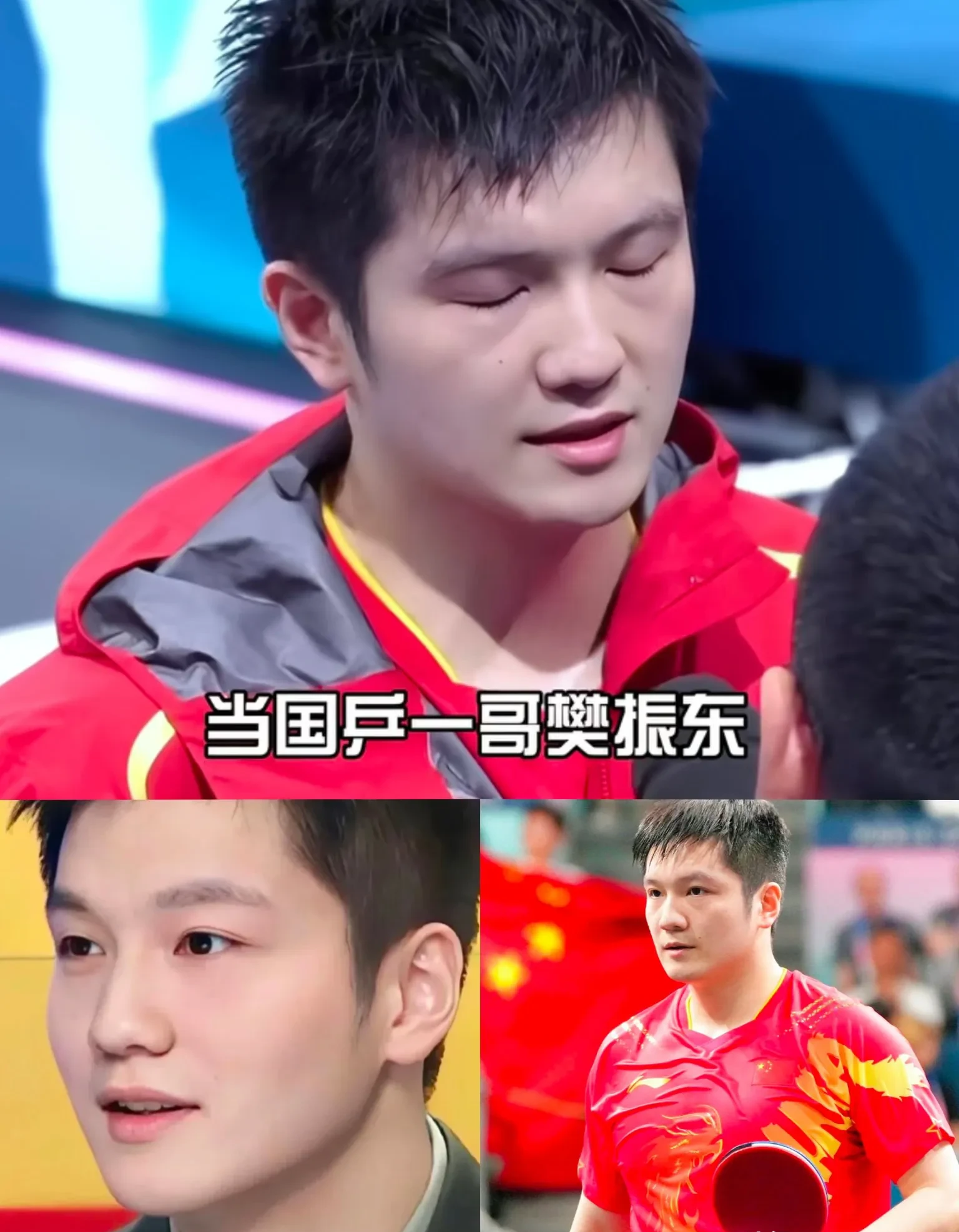 英国乒乓球队完胜法国乒乓球队,樊振东完成帽子戏法 英国乒乓球队完胜法国乒乓球队,樊振东完成帽子戏法