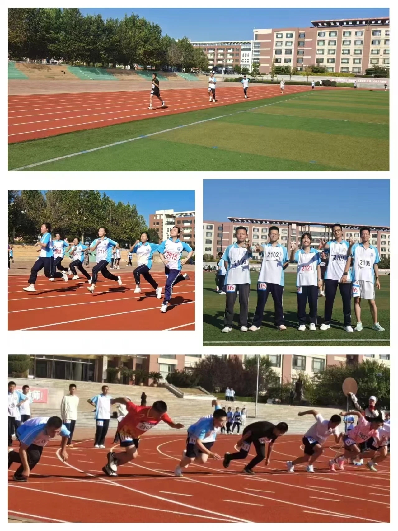 关于运动队积极备战冲刺，成果颇丰的信息