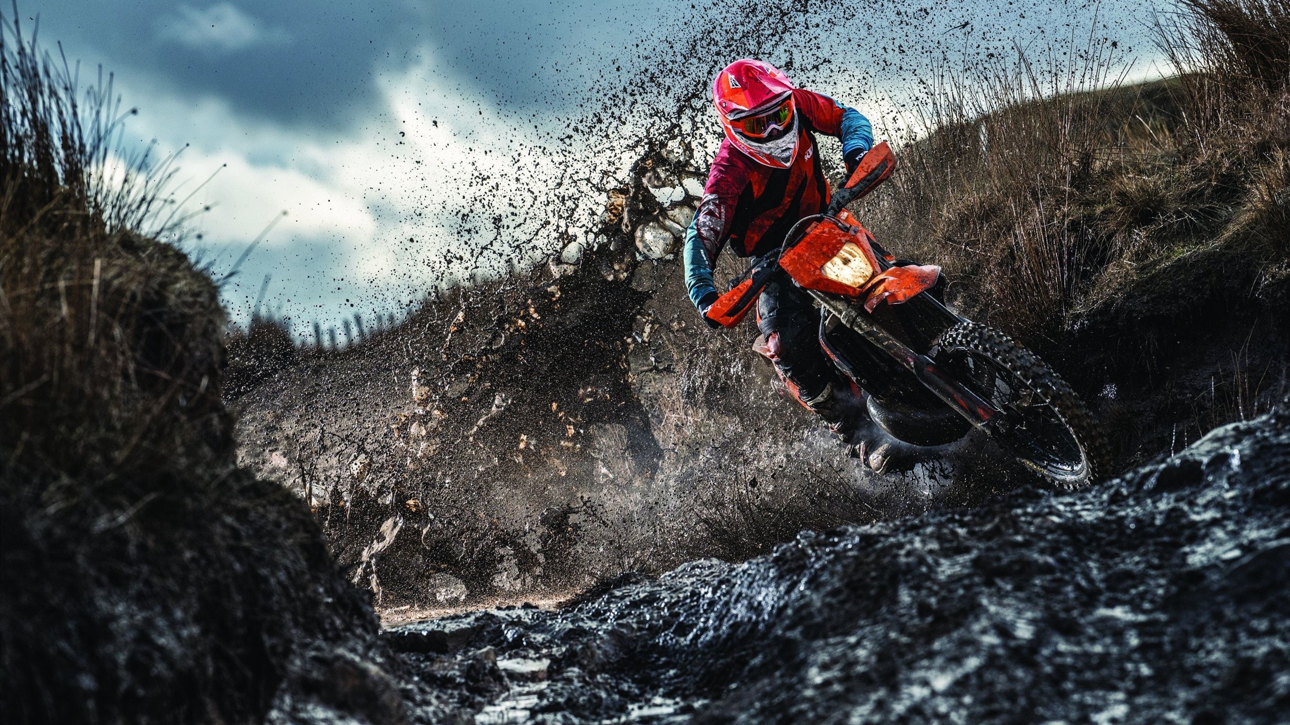 森林狼的逆袭，爱德华兹在总决赛之夜的关键回合，如何证明自己不是软脚虾